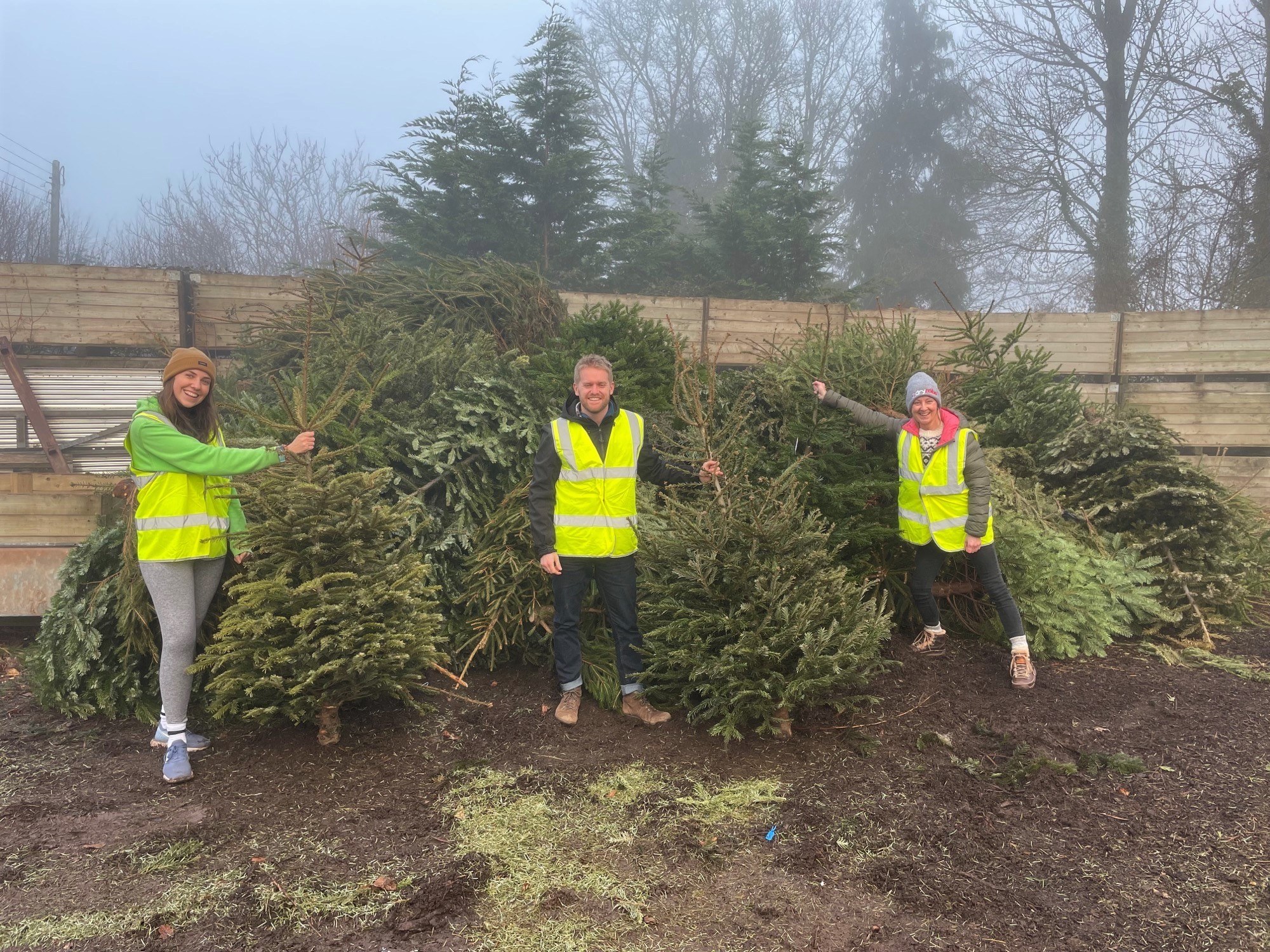 Hundreds of Christmas trees recycled across Devon and Somerset for